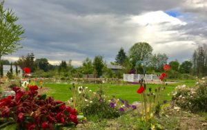 The Carey Gardens Snohomish Outdoor Wedding Venue