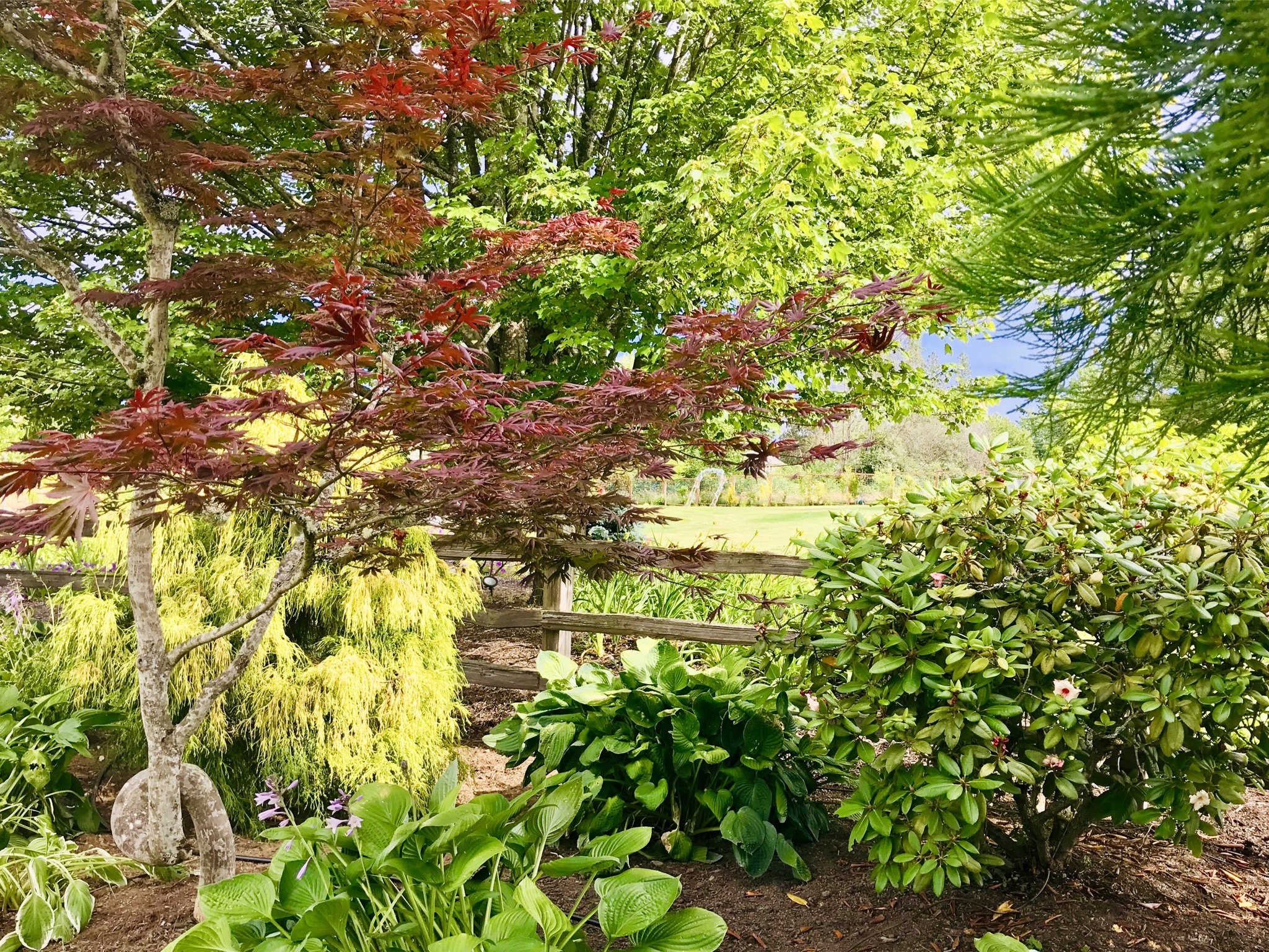 Photo Gallery The Carey Gardens Wedding Venue and Event Center